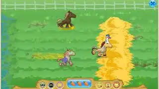 Animal Jam Jamaa Derby