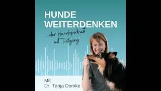Mehr als Schn&uuml;ffelteppich: Die 5 S&auml;ulen des Enrichments