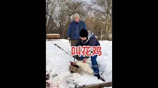 给俄罗斯人吃叫花鸡是一种什么体验#海外生活 #俄罗斯生活 #李兴发酒