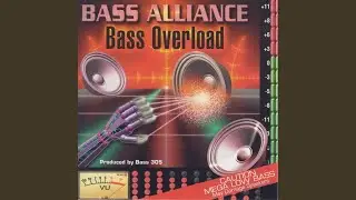 The Future of Bass