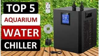 Top 5 Best Aquarium Water Chiller AliExpress & Amazon