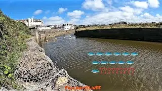 Fishing the River Neet in Bude Cornwall for Grey Mullet- Sunny and Successful?