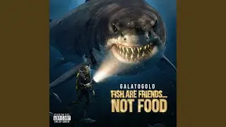 FISH ARE FRIENDS&hellip;NOT FOOD.