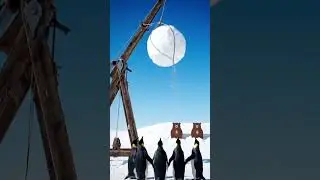 Penguins through ice 🤫into the sky 😱#shortvideos #shortfeed #cute #viral🔥