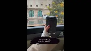 TEA LOVER #youtube #poetry #ytshorts #sadpoetry #heartbroken #urdushayari #love #urduquotes #urdu