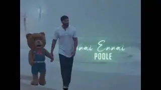 🔥 Teddy Friendship Song 🐼 WHATSAPP STATUS...