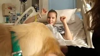 Animal Human Relationships