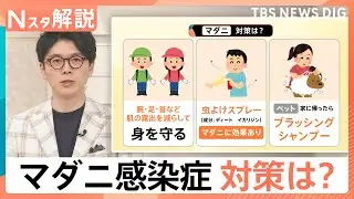 感染拡大の要因は“ペット”と“高温”？マダニが媒介「SFTS=重症熱性血小板減少症候群」とは【Nスタ解説】｜TBS NEWS DIG