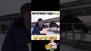 Интервью года#shorts#shots#short#funny#fur#fun#video#смешно#смех#приколы#2024#корова #пранк2024года
