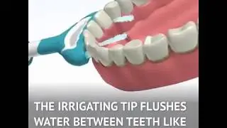 This Device is like a Shower for Your Mouth Futusion HD