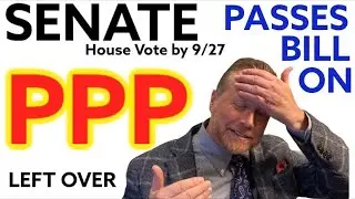New Senate Bill on PPP Funds Left Over. 2021 Future of More PPP Loans. Self Employed PPP Loans!