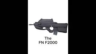 The FN F2000