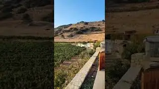 &Epsilon;&pi;ί&sigma;&kappa;&epsilon;&psi;&eta; &sigma;&tau;&eta;&nu; &omicron;&iota;&nu;&omicron;&pi;&omicron;&iota;&eta;&tau;&iota;&kappa;ή &Lambda;&epsilon;&iota;&psi;ώ&nu; (Lipsi Winery). #leipsoi #winery #dodecanese