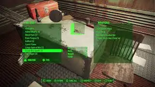 Fallout 4 Evil Route VIII