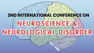 Neuroscience & Neurological Disorder | Mindspace Conference | Rome, Italy | 2025