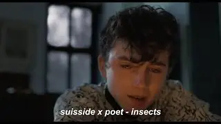 suisside x poet - insects | перевод