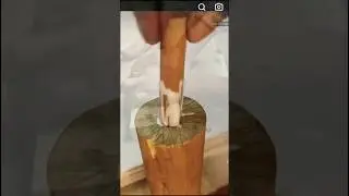 How to Make a Wooden Walking Stick with Carvings | DIY Tutorial