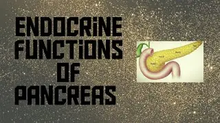 Pancreas endocrine functions -INSULIN Tamil  (part-1)