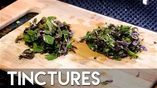 How To Make a Tincture / Chocolate Mint