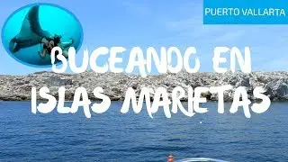 Bucenado en las Islas Marietas con Mantarrayas Gigantes