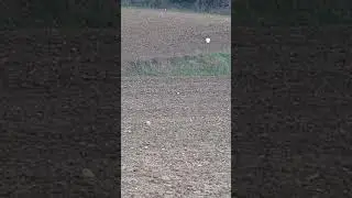 prova Benelli Argo E 300WM su tanica piena d'acqua.