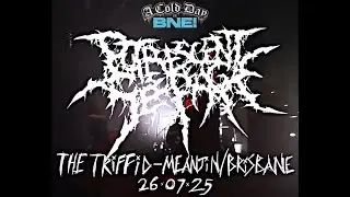 [pain.program] Putrescent Seepage - Live at The Triffid | Brisbane, Australia - 26.07.25 - Cold Day