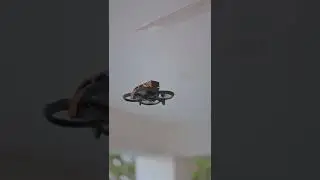 DJI Avata capturing real estate property videos 🏠