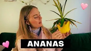 14 ASIAA MITÄ EN OSTAIS 🌻🧐