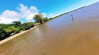 Cruising the Sea