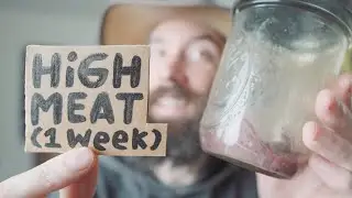 HIGH MEAT / week one of fermented raw primal bison