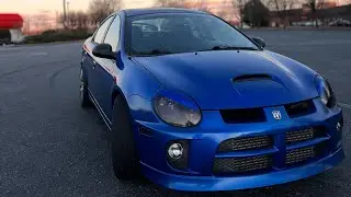 Pre paint video