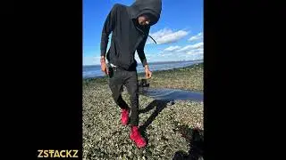ZSTACKZ - Better Days (Official Audio)