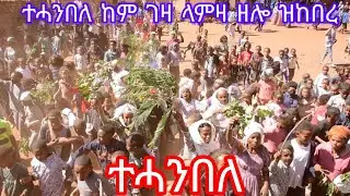 HOT-GUAYLA-2026 (ንግደት ገዛ ላምዛ ታሓንበለ )(ዝለሉለይ) ERITREAN-MUSIC 2026