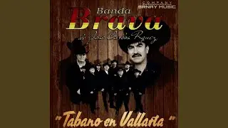 Tabano en Vallarta