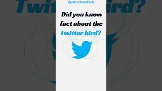 Trending hashtags on twitter #crazy #funny #knowledge #shorts