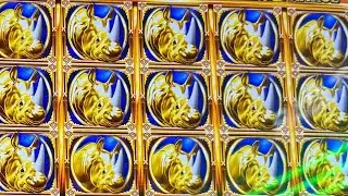The most free spins I’ve ever won! #gambling #rhinocharge 