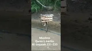Beautiful Suratul Baqarah Recitation | Calm Your Heart. #quran #islamic #beautifulquranrecitation