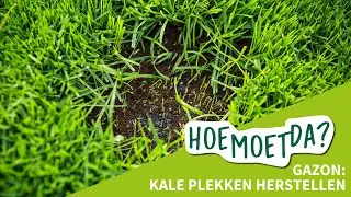 HoeMoetDa? | Zo herstel je kale plekken in je gazon