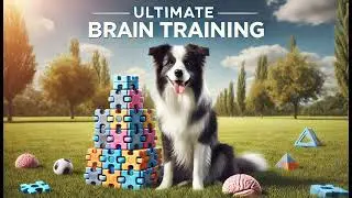 Brain Training For Dogs: The Ultimate Guide