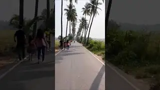 Parra road goa🏖️🌴#goa #parraroad #shorts#love