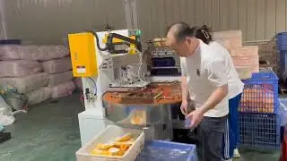 Fully automatic four station blister plastic packaging machine with material retrieval robot arm.
