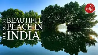 Munroe Island | Kollam Kerala | Beautiful Backwaters | Mundrothuruthu മണ്‍റോത്തുരുത്ത് | 🎧