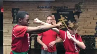 Panther Form - Choy Lee Fut - Kids
