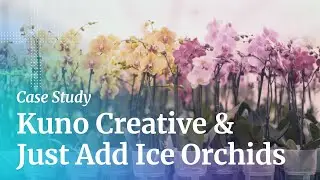 Why Kuno? Just Add Ice: A Digital Marketing Success Story