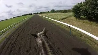 On the Gallops at Newmarket