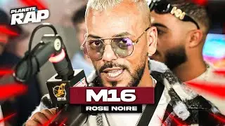 [EXCLU] M16 - Rose noire #PlanèteRap
