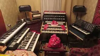 Home Organs and Minimoog Voyager Solo 1578 4