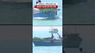 Rameshwaram: How was a 250 kg fish found in the sea? #Fish #seafish #swordfish