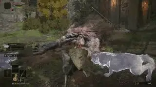 Elden Ring Lone Wolf Ashes