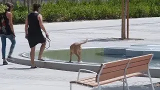 Spain&rsquo;s August heat record set to be shattered